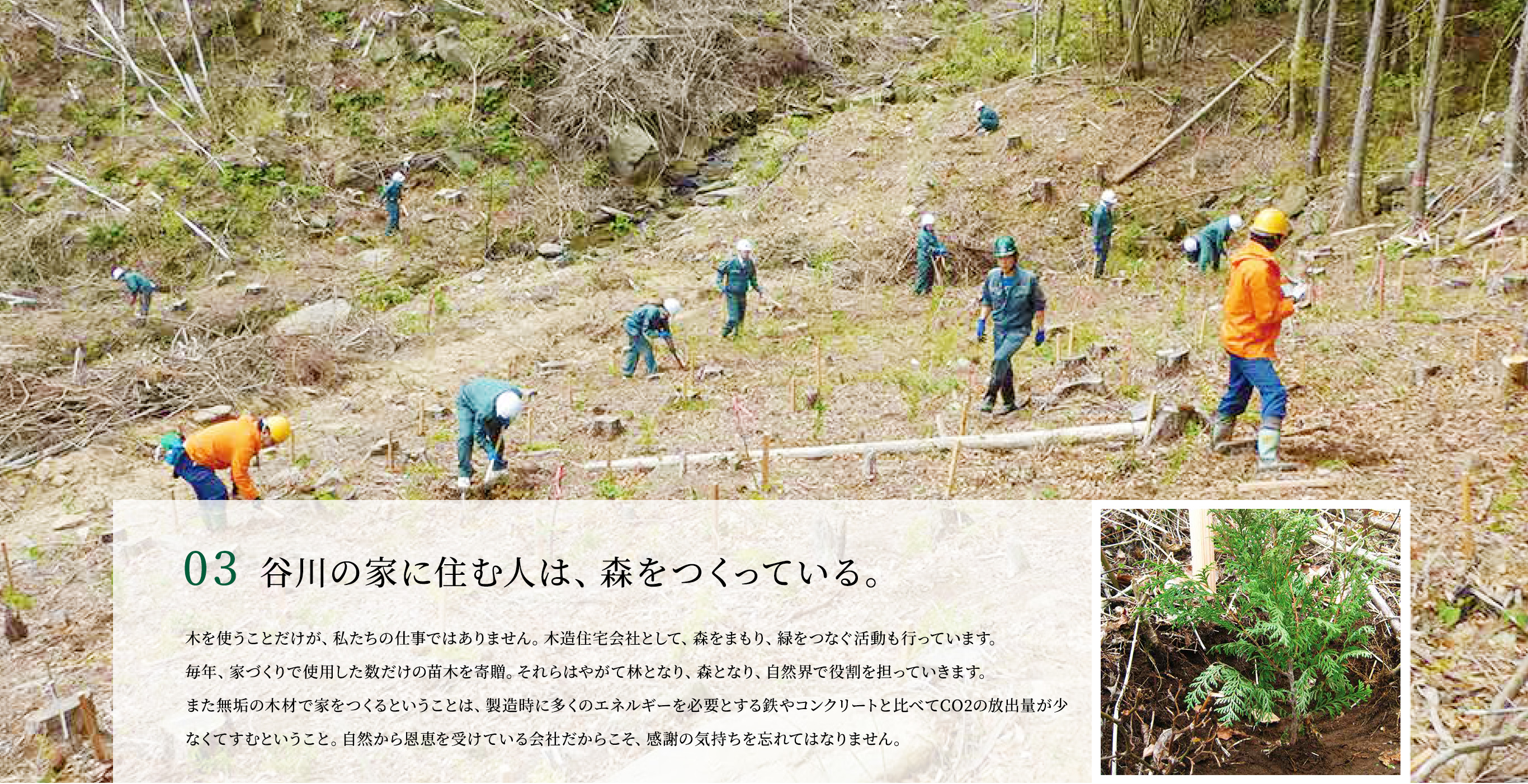 「03.谷川の家に住む人は、森をつくっている。」木を使うことだけが、私たちの仕事ではありません。木造住宅会社として、森をまもり、緑をつなぐ活動も行っています。毎年、家づくりで使用した数だけの苗木を寄贈。それらはやがて林となり、森となり、自然界で役割を担っていきます。また無垢の木材で家をつくるということは、製造時に多くのエネルギーを必要とする鉄やコンクリートと比べてCO2の放出量が少なくてすむということ。自然から恩恵を受けている会社だからこそ、感謝の気持ちを忘れてはなりません。